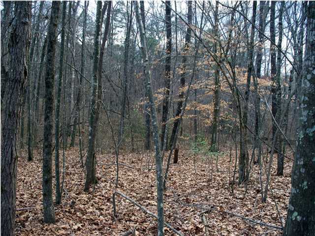 191 County Line Road Signal Mountain, TN 37377 - Photo 1 of 10 Primary Photo