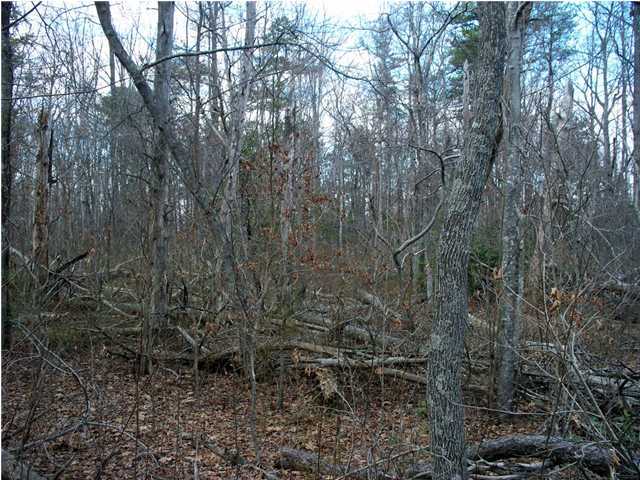 191 County Line Road Signal Mountain, TN 37377 - Photo 2 of 10 Additional Photo