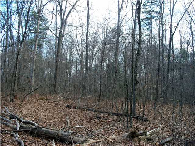 191 County Line Road Signal Mountain, TN 37377 - Photo 3 of 10 Additional Photo