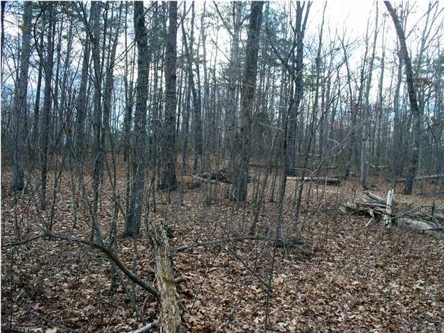 191 County Line Road Signal Mountain, TN 37377 - Photo 4 of 10 Additional Photo