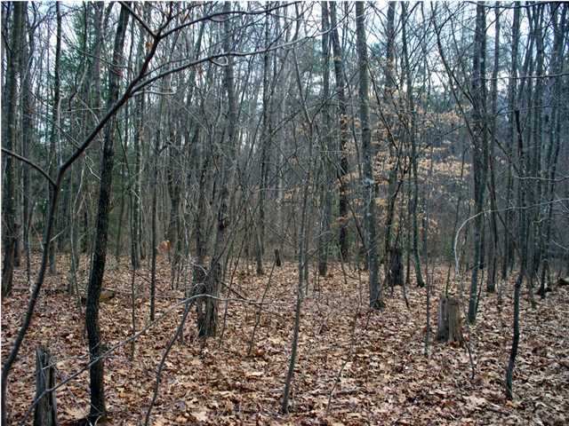 191 County Line Road Signal Mountain, TN 37377 - Photo 5 of 10 Additional Photo