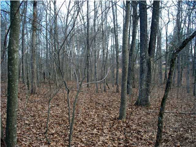 191 County Line Road Signal Mountain, TN 37377 - Photo 6 of 10 Additional Photo