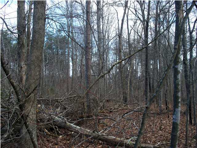 191 County Line Road Signal Mountain, TN 37377 - Photo 7 of 10 Additional Photo