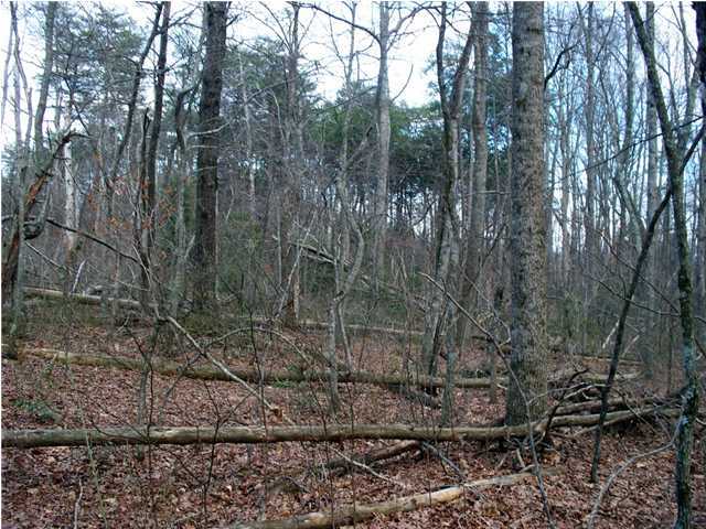 191 County Line Road Signal Mountain, TN 37377 - Photo 8 of 10 Additional Photo
