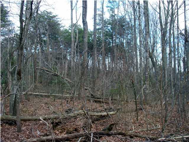 191 County Line Road Signal Mountain, TN 37377 - Photo 9 of 10 Additional Photo