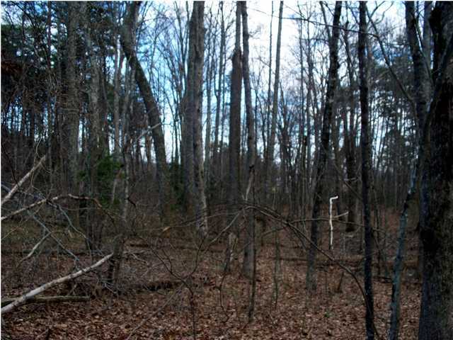 191 County Line Road Signal Mountain, TN 37377 - Photo 10 of 10 Additional Photo