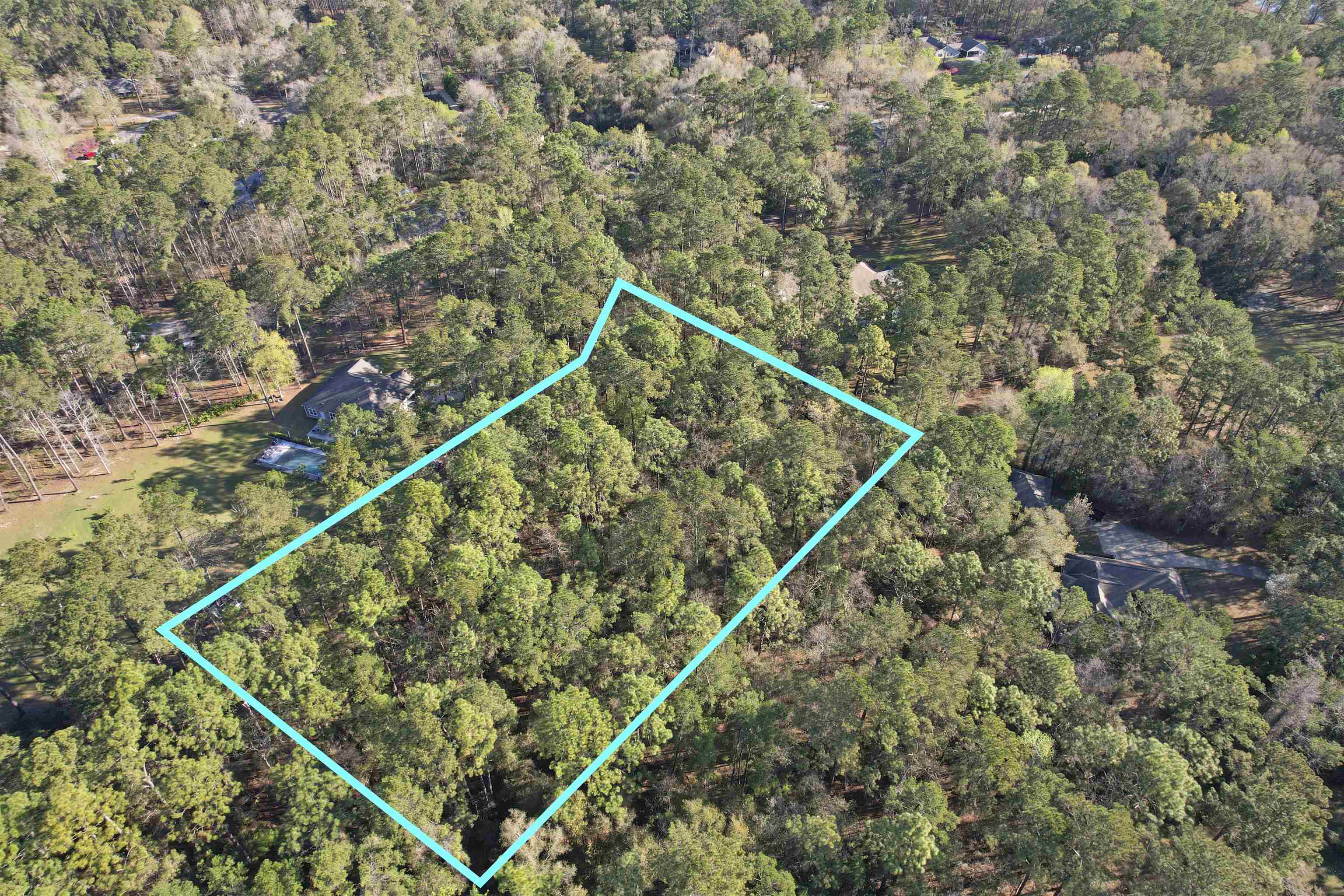 0 Amber Valley Road Tallahassee, FL 32312 - Photo 7 of 38 Gallery Image 7