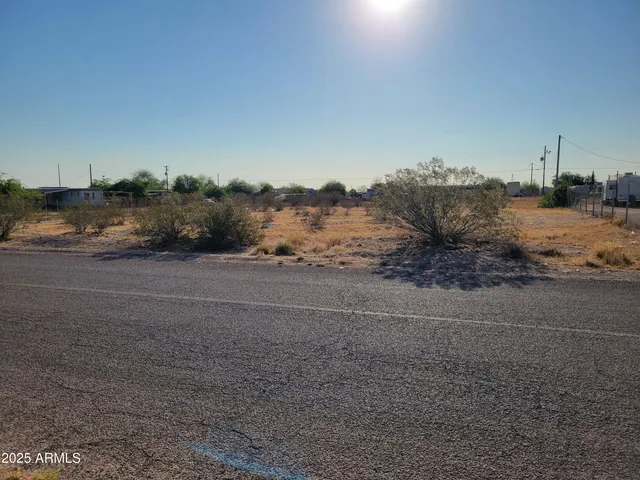 a view of a dry yard