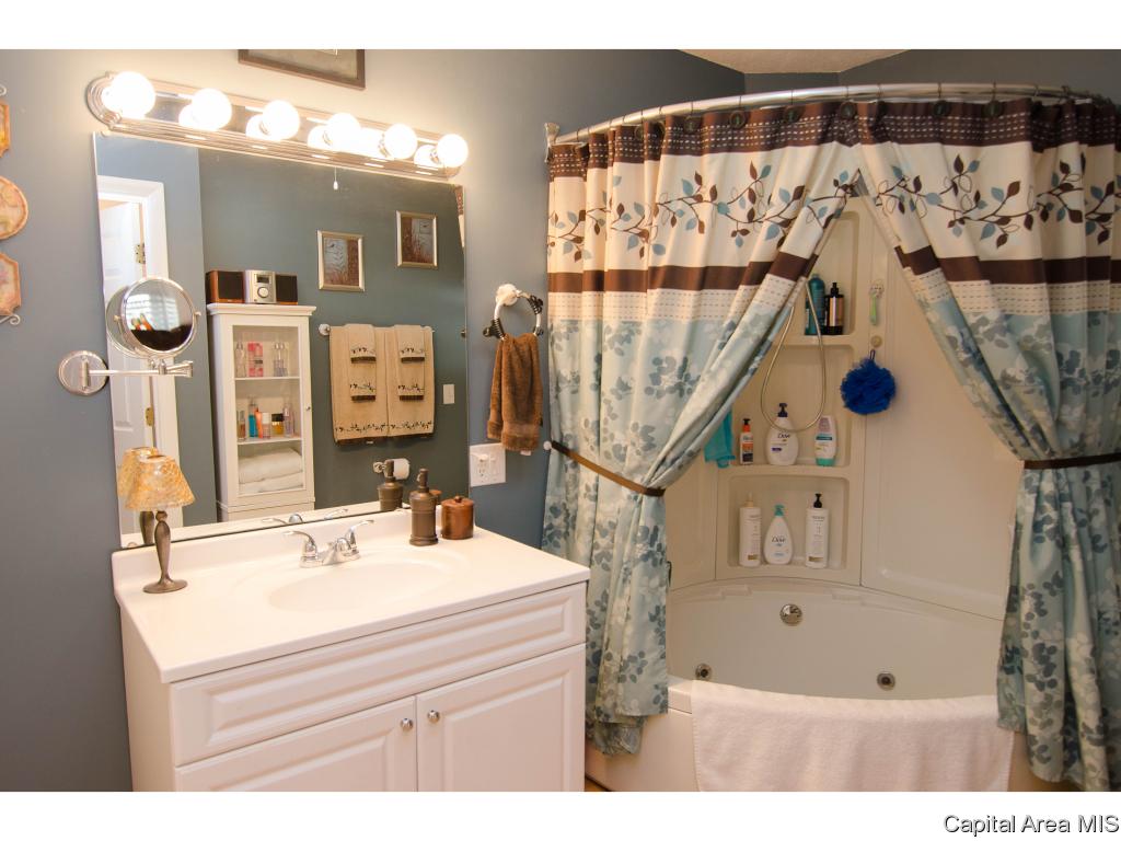701 St Mary's Avenue Springfield, IL 62702 - Photo 8 of 21 Gallery Image 8