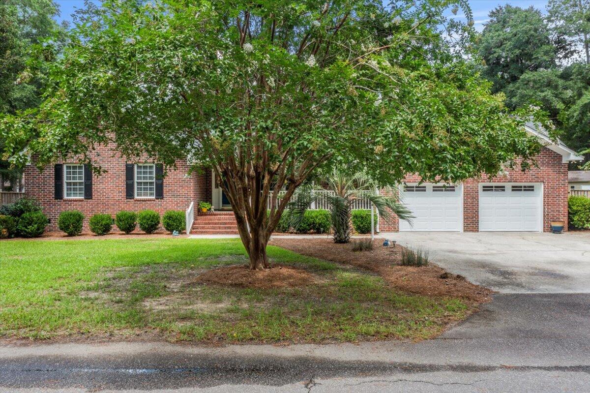 310 Silverhill Road Walterboro, SC 29488 - Photo 4 of 70 Manicured Lawn