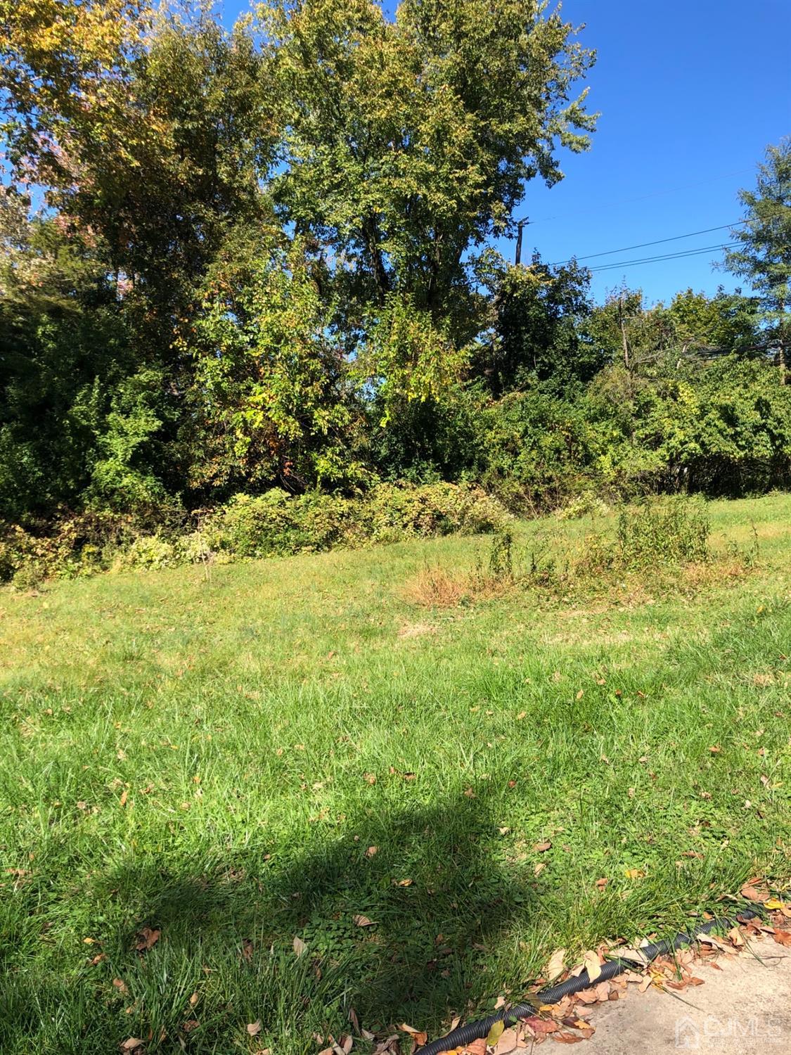 918 River Road Piscataway, NJ 08854 - Photo 18 of 23 Sideyard