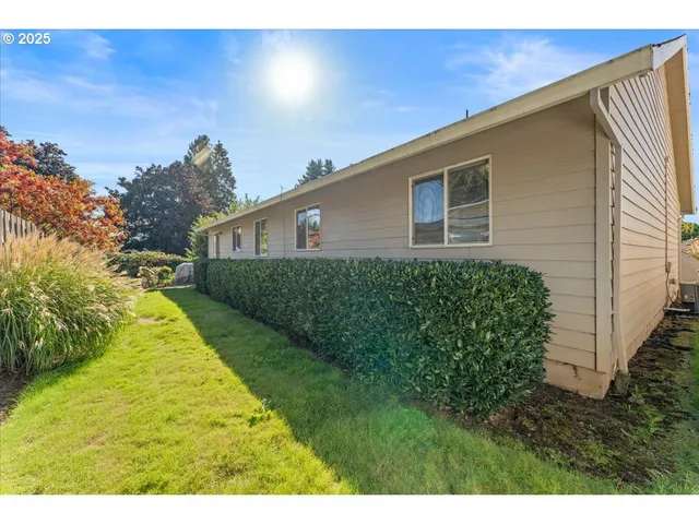 a view of a backyard with plants