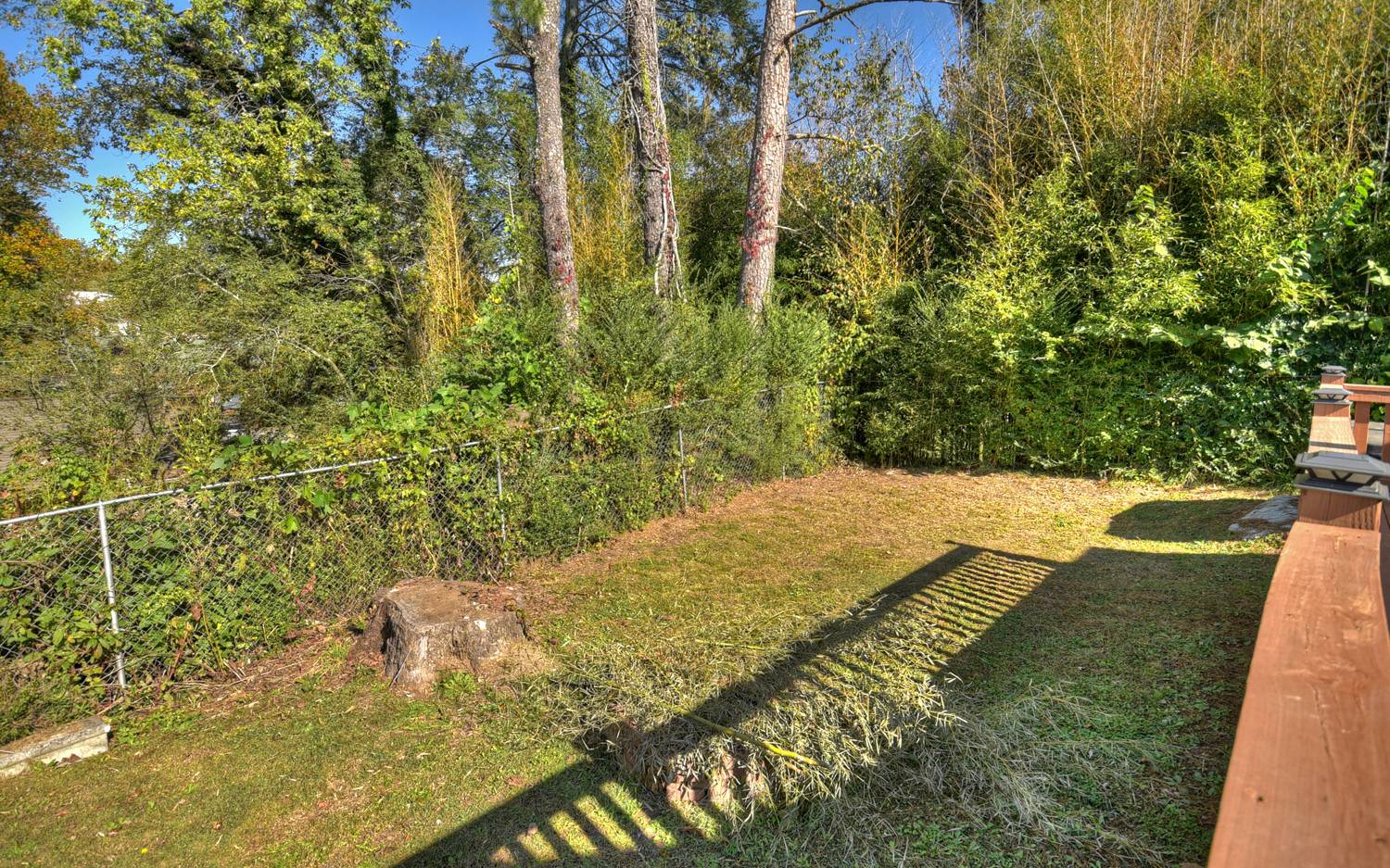 642 East 2nd Street Blue Ridge, GA 30513 - Photo 20 of 44 Additional View