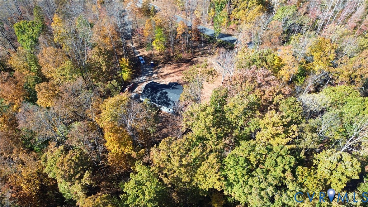 517 Frenchs Store Road Cumberland, VA 23040 - Photo 5 of 22 a picture of tree