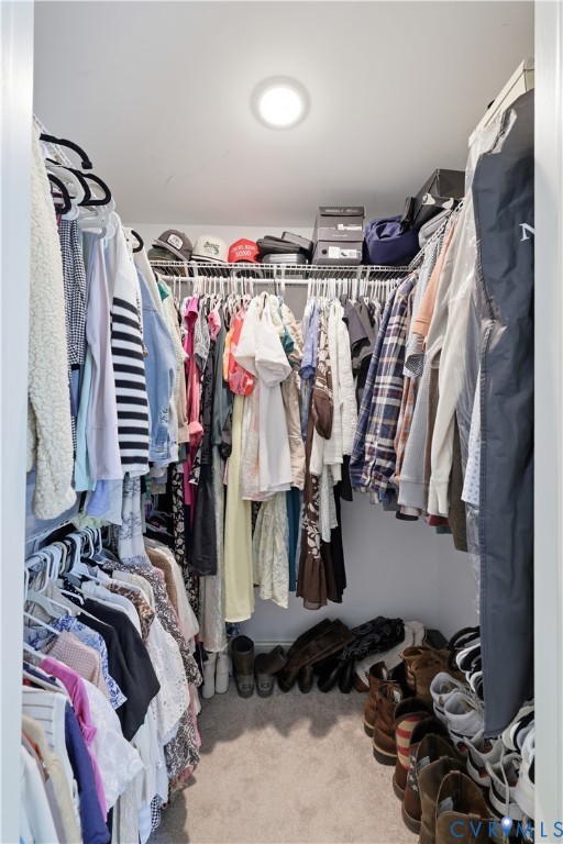 222 Oak Ridge Court Aylett, VA 23009 - Photo 21 of 35 Walk-in closet featuring wire shelving, overhead l