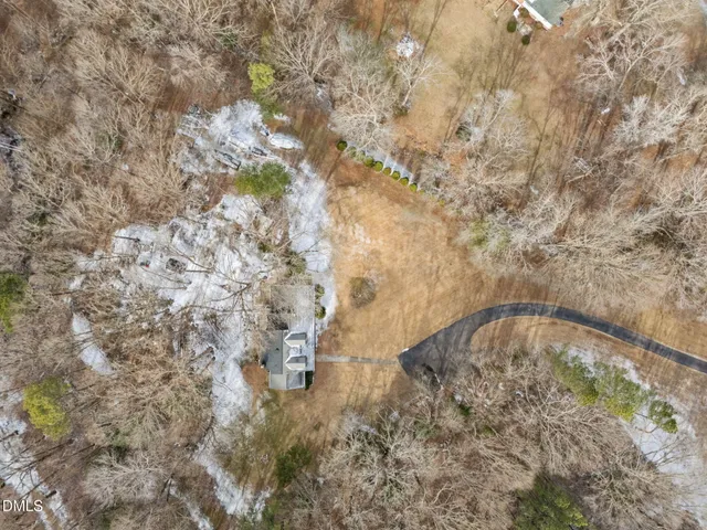 a water fountain in the middle of a forest