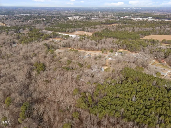 an aerial view of mountain with trees