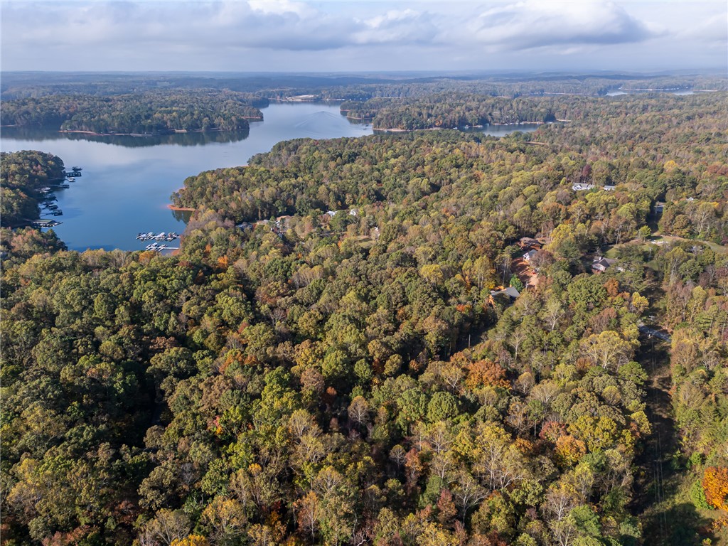 0 Bay Drive Fair Play, SC 29643 - Photo 11 of 20