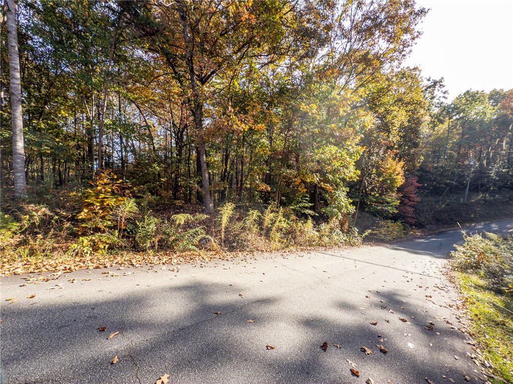 0 Bay Drive Fair Play, SC 29643 - Photo 15 of 20