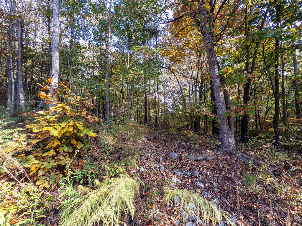 0 Bay Drive Fair Play, SC 29643 - Photo 16 of 20