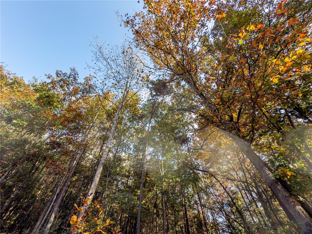 0 Bay Drive Fair Play, SC 29643 - Photo 17 of 20