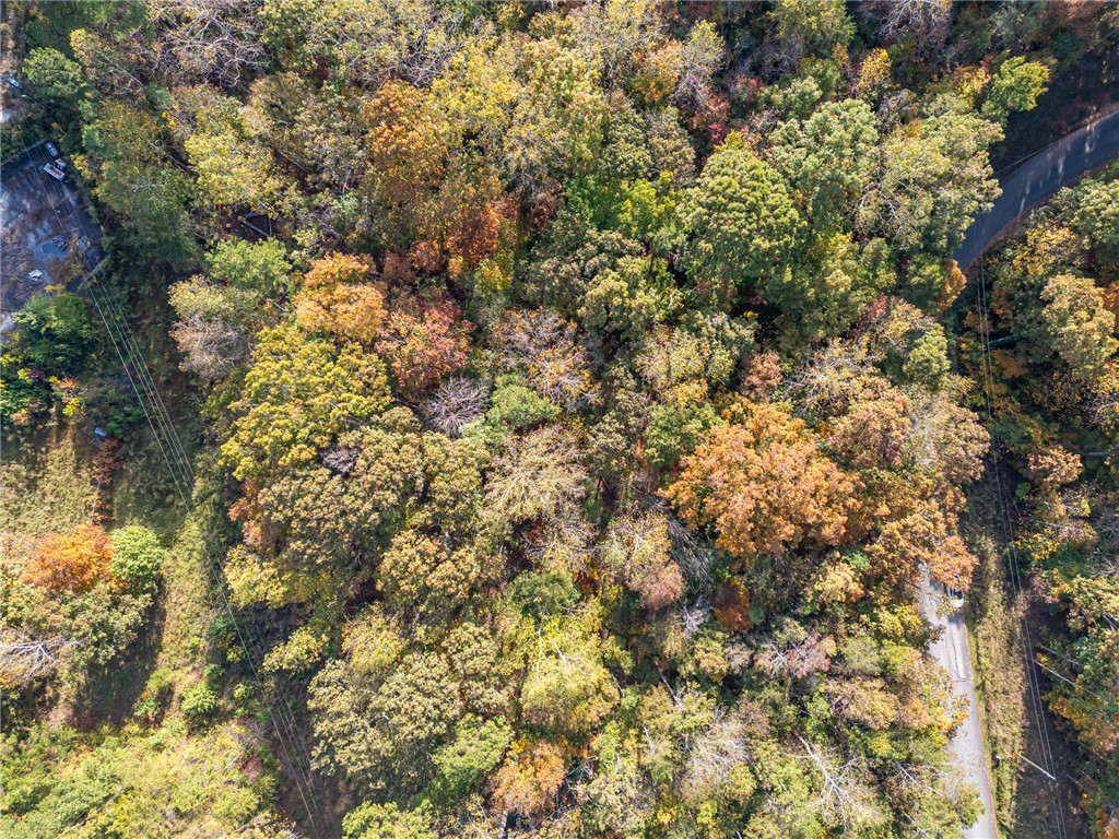 0 Bay Drive Fair Play, SC 29643 - Photo 9 of 20