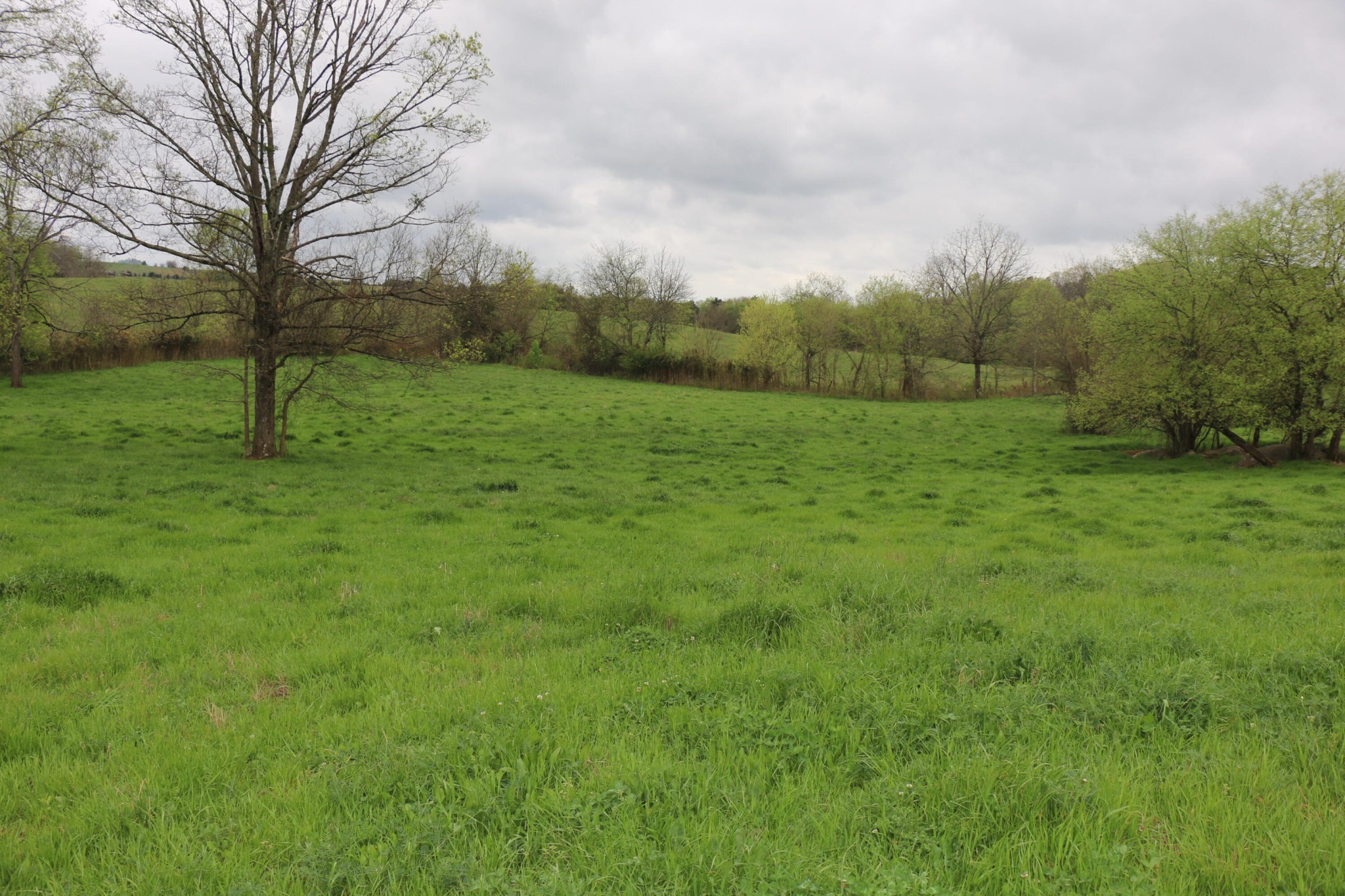 551 Campground Road Madisonville, TN 37354 - Photo 10 of 12 Gallery Image 10