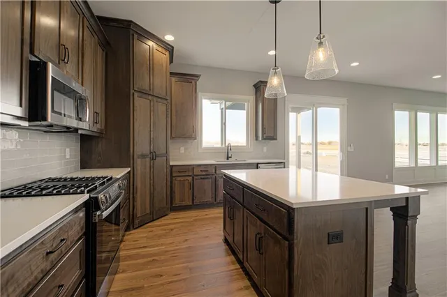 $492,950 | 1508 Southwest Arborpark Terrace, Lee's Summit, MO 64082