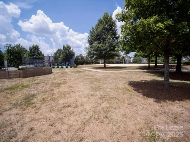 a view of a garden with a large trees