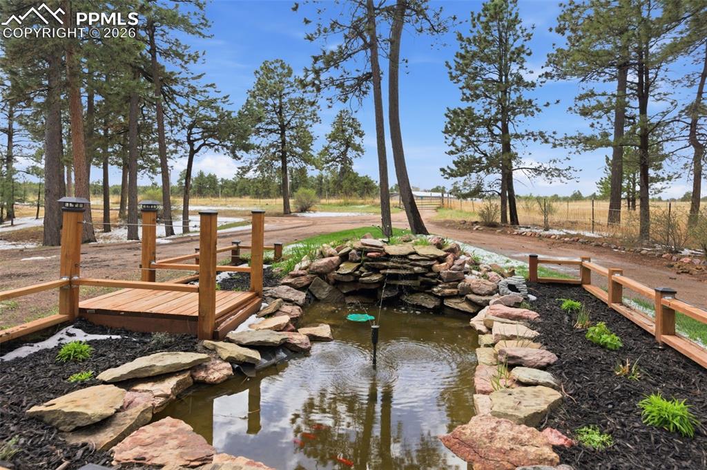 18440 Black Squirrel Road Colorado Springs, CO 80908 - Photo 3 of 48