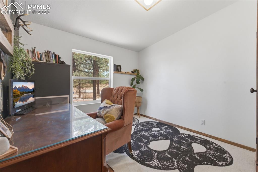 18440 Black Squirrel Road Colorado Springs, CO 80908 - Photo 33 of 48