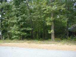 Exterior Front. Quiet Wooded Lake lot in small community
