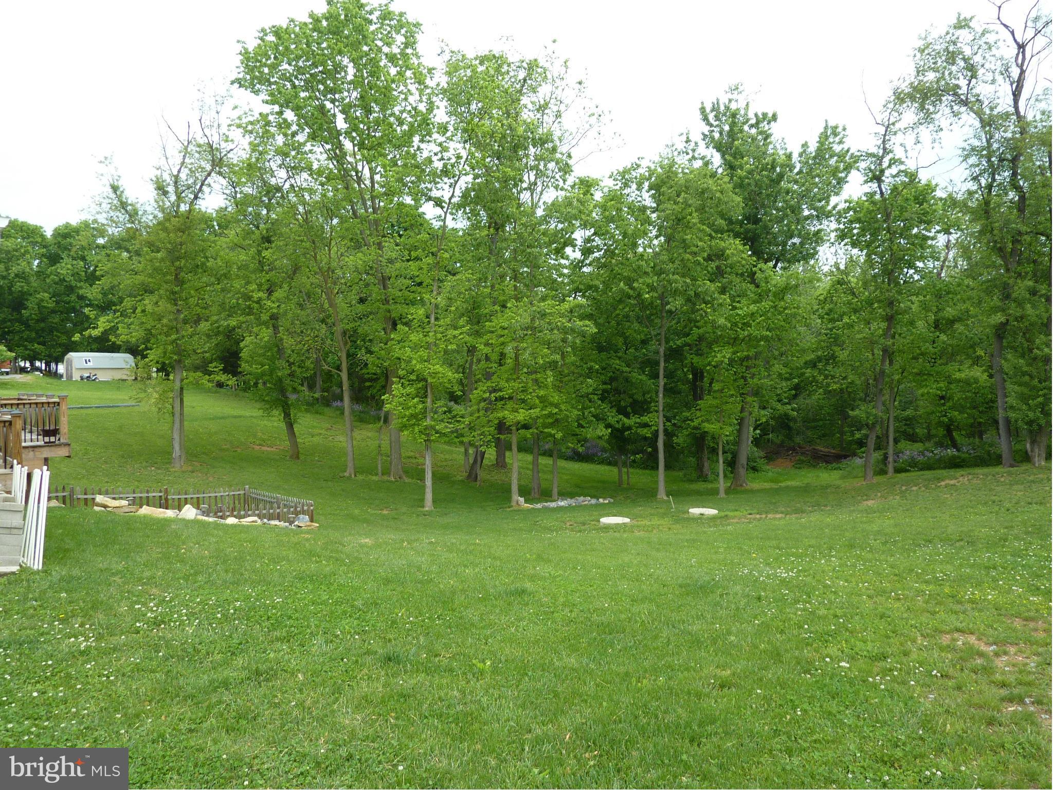 2137 Brucetown Road Clear Brook, VA 22624 - Photo 25 of 30 Exterior (Rear)