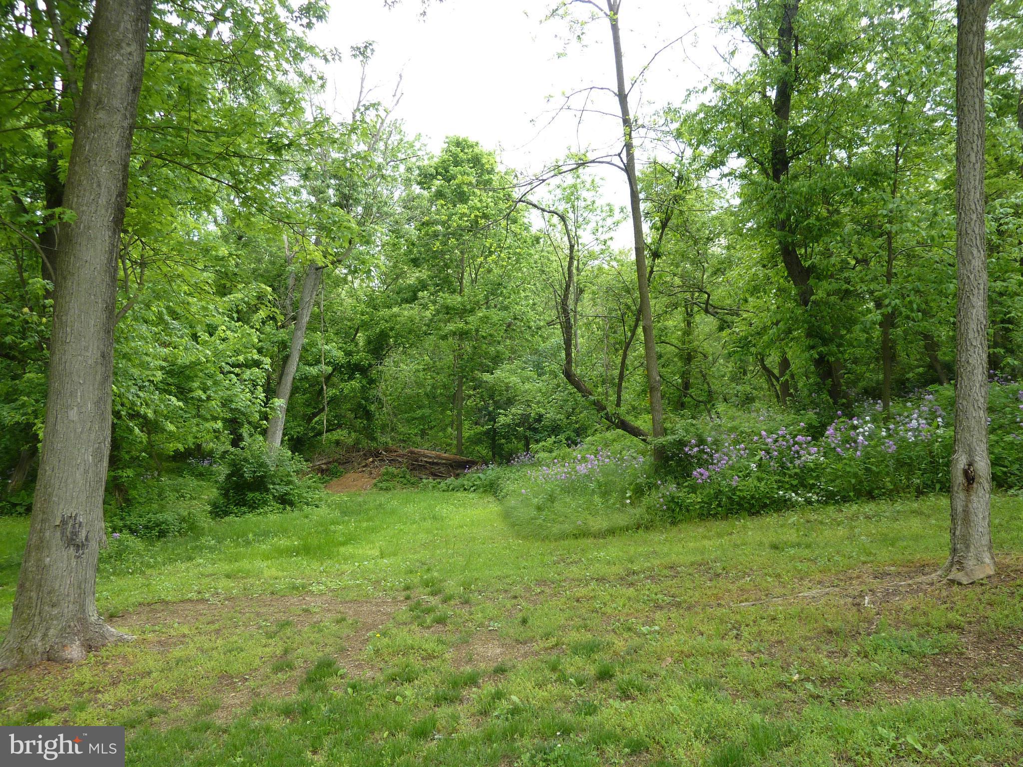 2137 Brucetown Road Clear Brook, VA 22624 - Photo 27 of 30 Exterior (Rear)