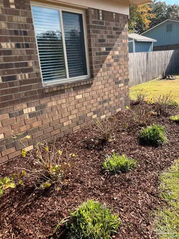 a view of a backyard with large trees