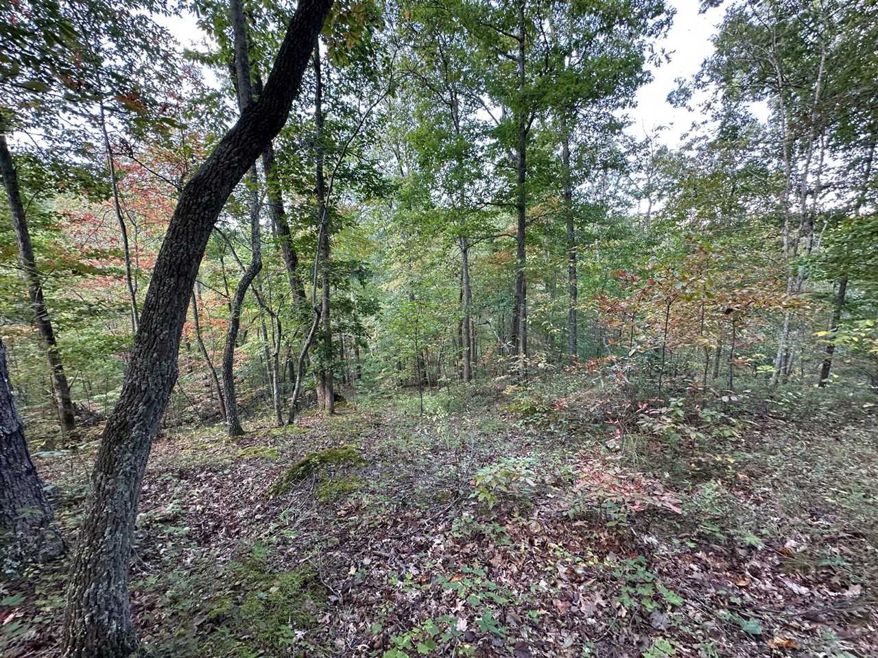18 A Hall Road Grayson, KY 41143 - Photo 15 of 77 Gallery Image 15