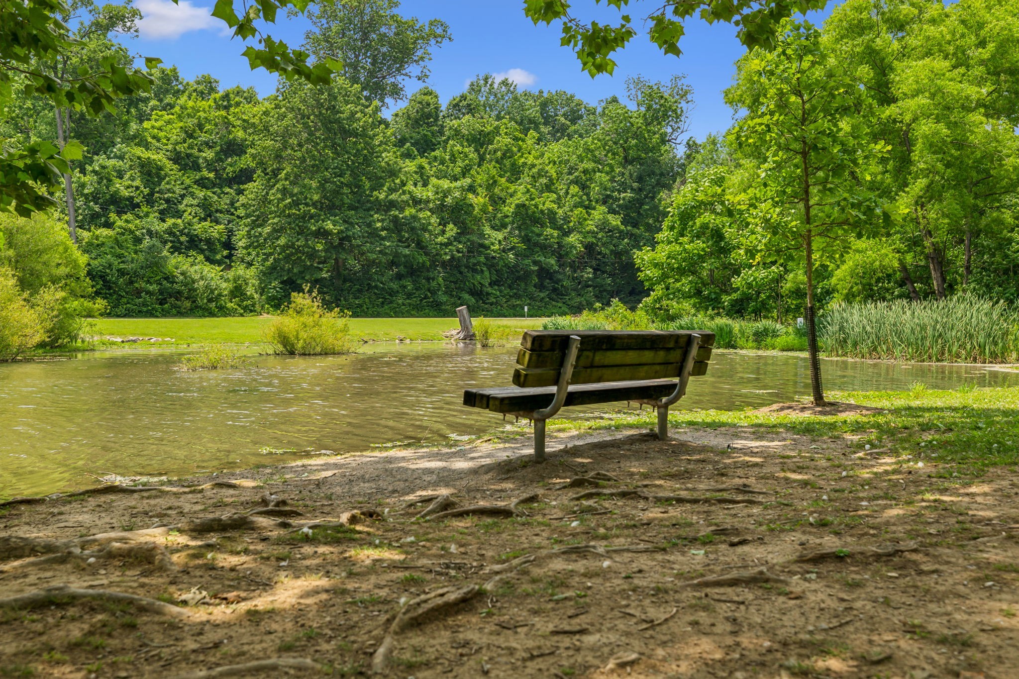 257 B Riverside Drive Nashville, TN 37206 - Photo 39 of 56 a bench sitting in the middle of a lake