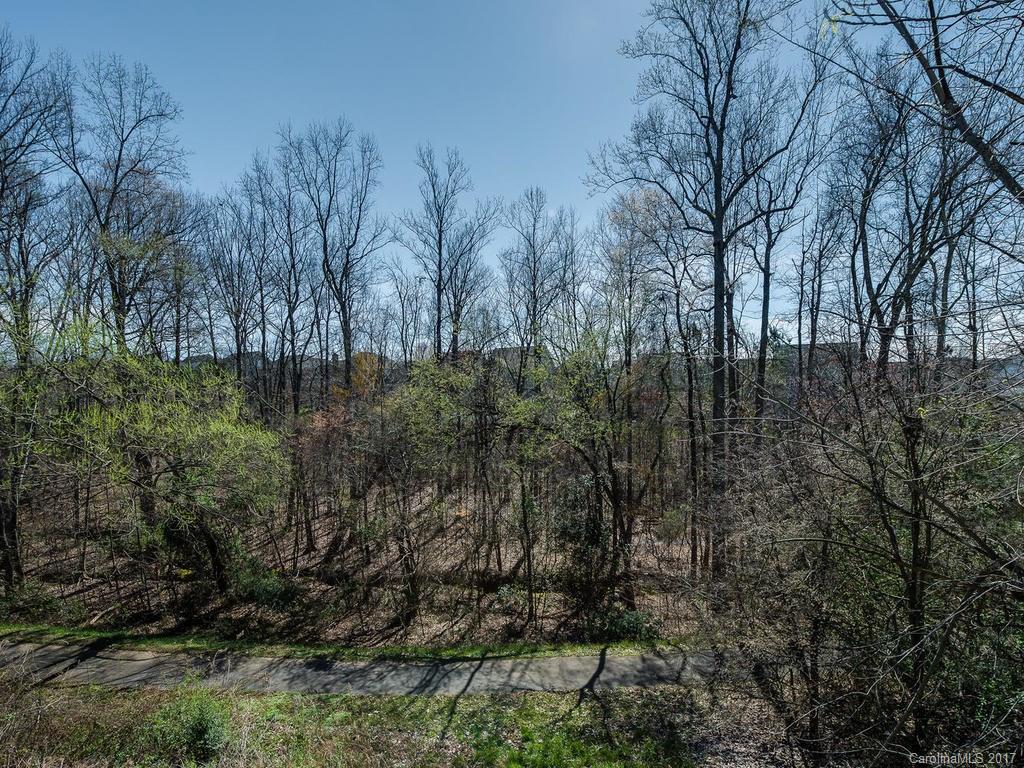 1940 Clark Elliot Street Fort Mill, SC 29708 - Photo 22 of 22 a view of a yard