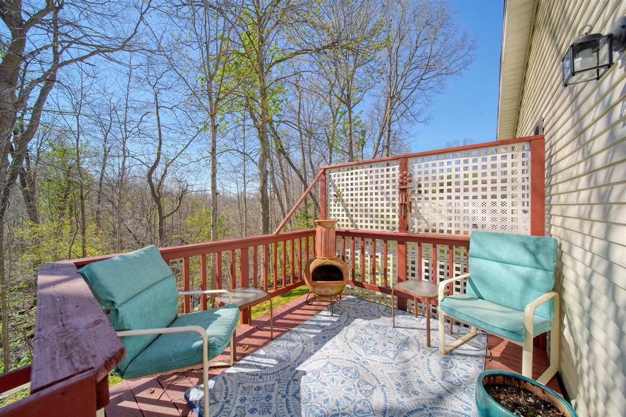 448 Raisin River Drive Adrian, MI 49221 - Photo 28 of 38