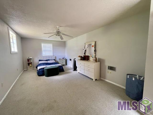 206 Back Project Road Schriever, LA 70395 - Photo 29 of 38