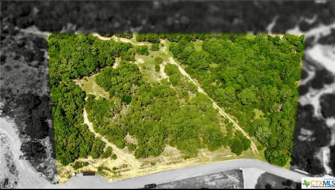 1337 Windy Hill Road Salado, TX 76571 - Photo 3 of 7 a view of a yard