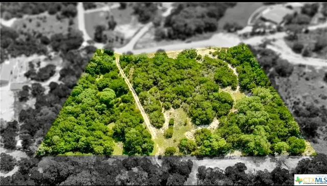 a close up of a garden