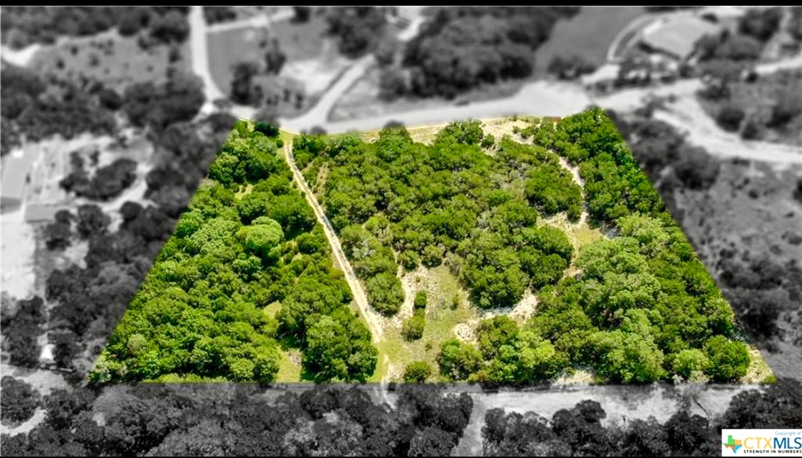 1337 Windy Hill Road Salado, TX 76571 - Photo 4 of 7 a close up of a garden