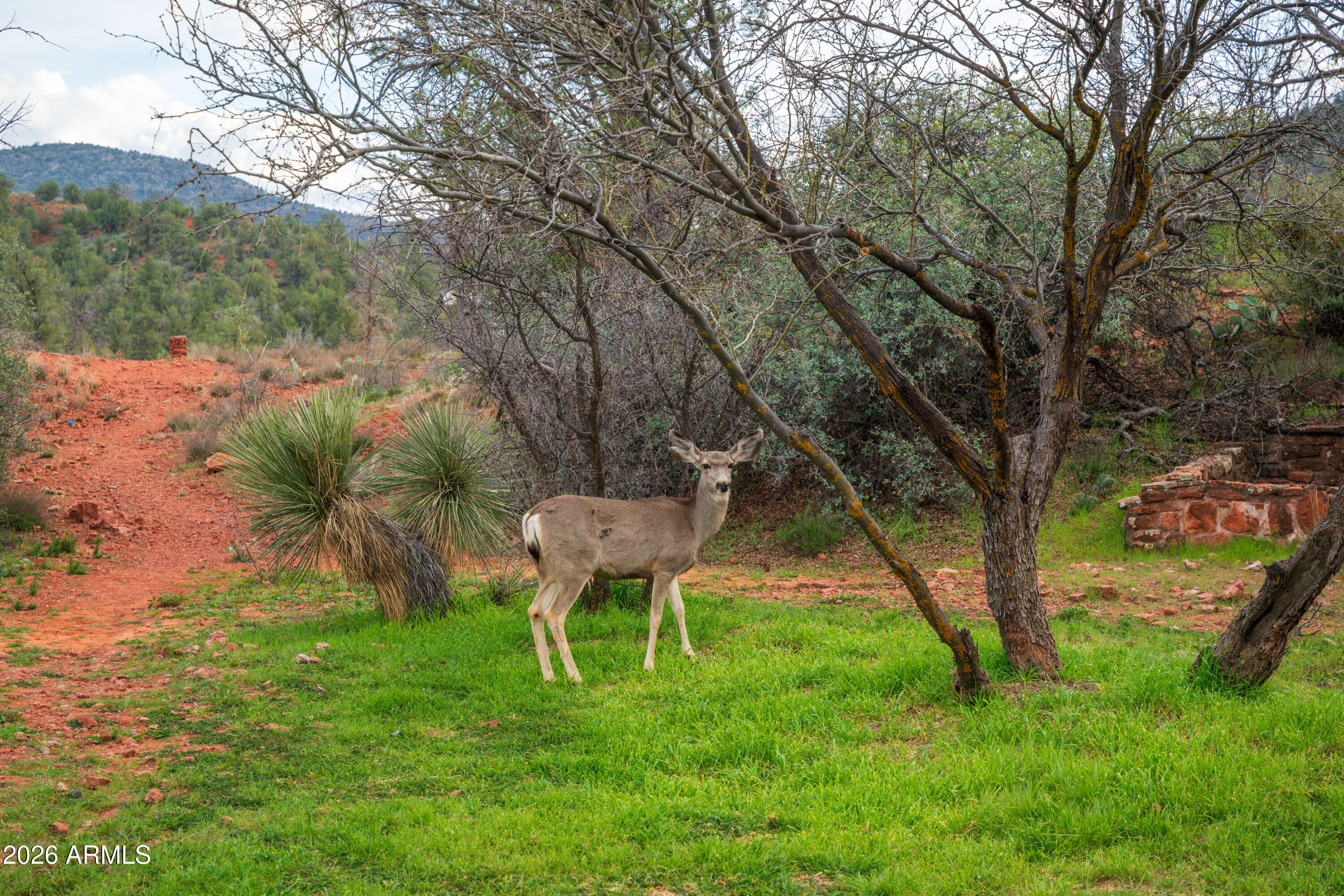 35 Russet Ridge Place, Unit 78 Sedona, AZ 86336 - Photo 25 of 30 a backyard of a house with table and chairs