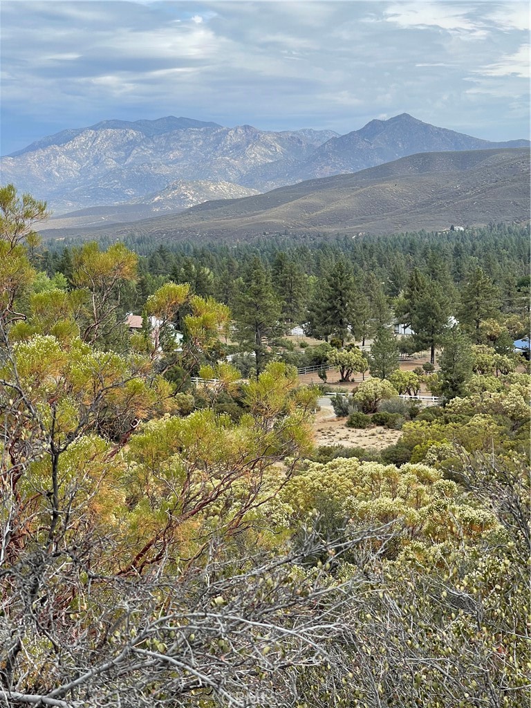 2 Goldshot Creek Road Mountain Center, CA 92561 - Photo 11 of 13 a view of a field with an ocean