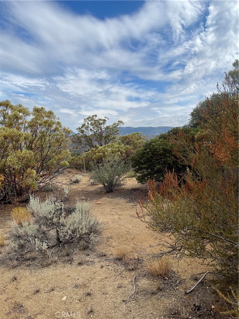 2 Goldshot Creek Road Mountain Center, CA 92561 - Photo 3 of 13 a view of a dry yard with lots of trees