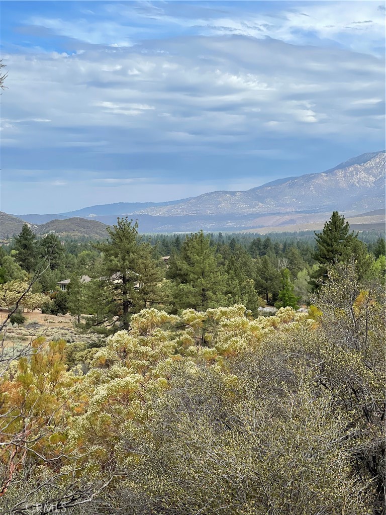 2 Goldshot Creek Road Mountain Center, CA 92561 - Photo 9 of 13 a view of a field with an ocean