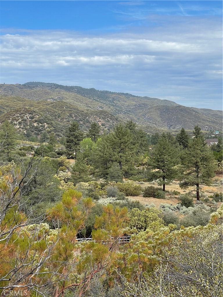 2 Goldshot Creek Road Mountain Center, CA 92561 - Photo 10 of 13 a view of an ocean