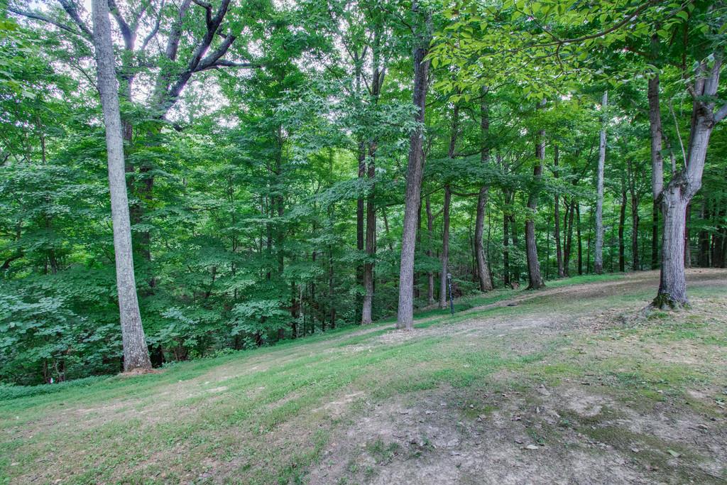 3044 Greer Road Goodlettsville, TN 37072 - Photo 27 of 30 Gallery Image 27