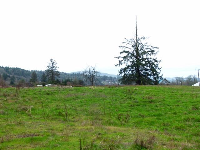 101 Highway 101 South Garibaldi, OR 97118 - Photo 5 of 8 P1080416